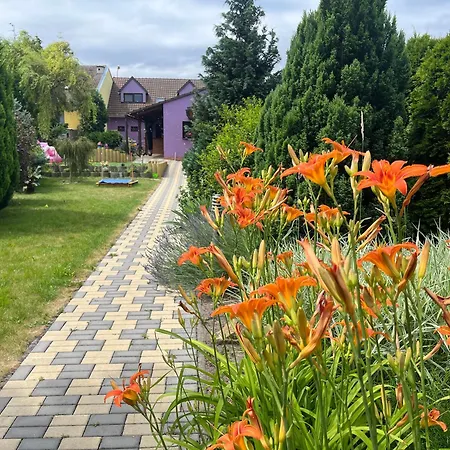 Violka Villa