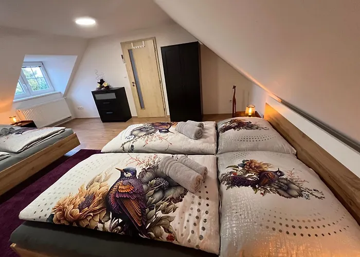 Violka Villa *